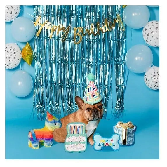 Party Animal Birthday Box Dog Toy Bundle, 5-Piece Set Blue