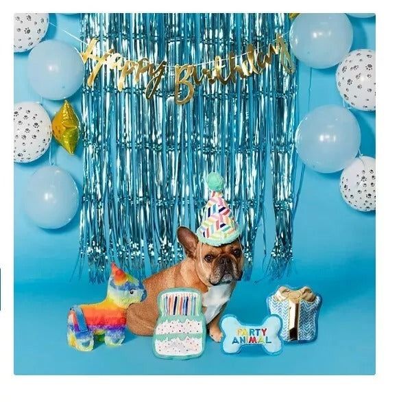 Party Animal Birthday Box Dog Toy Bundle, 5-Piece Set Blue