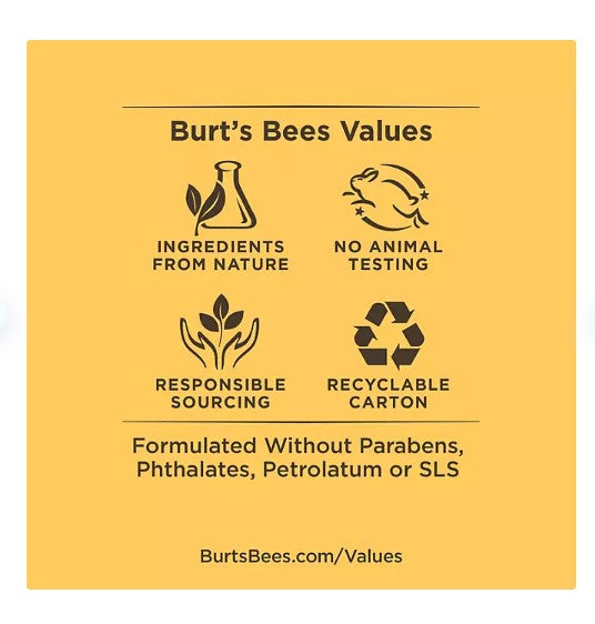 Burt's Bees 100% Natural Origin Beeswax Moisturizing Lip Balm 8 pk. - Able Home Needs